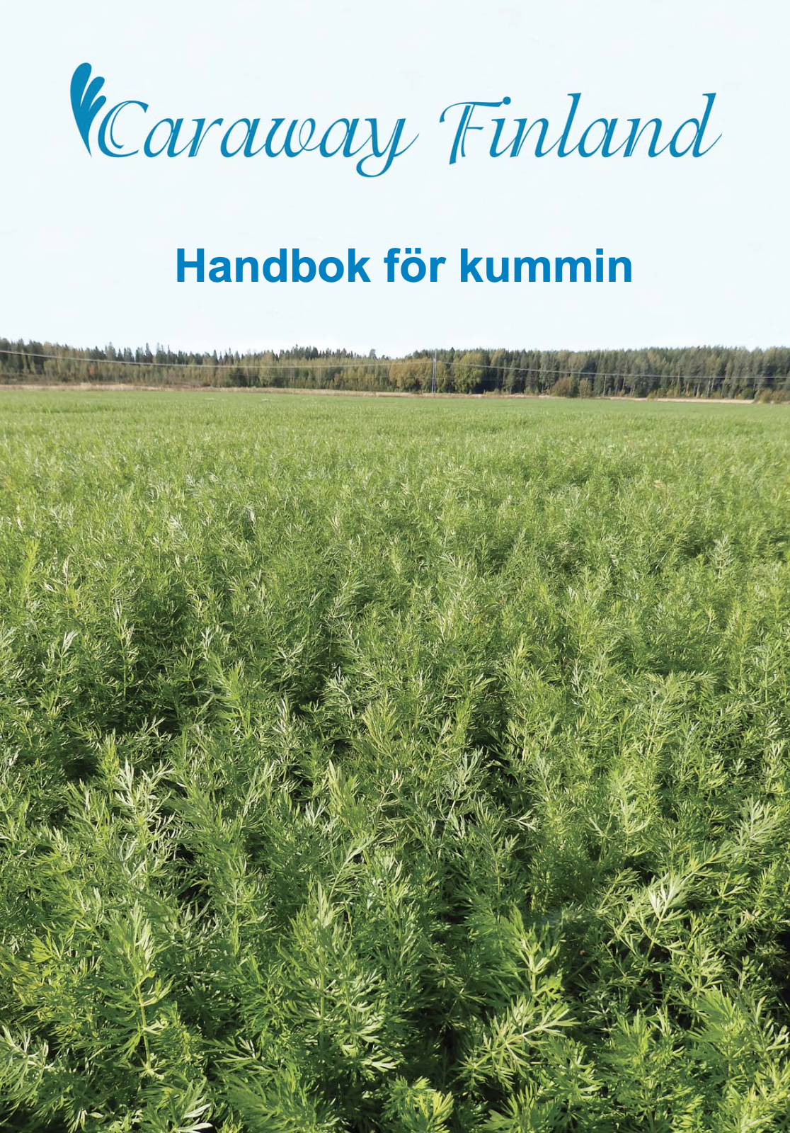 Handbok