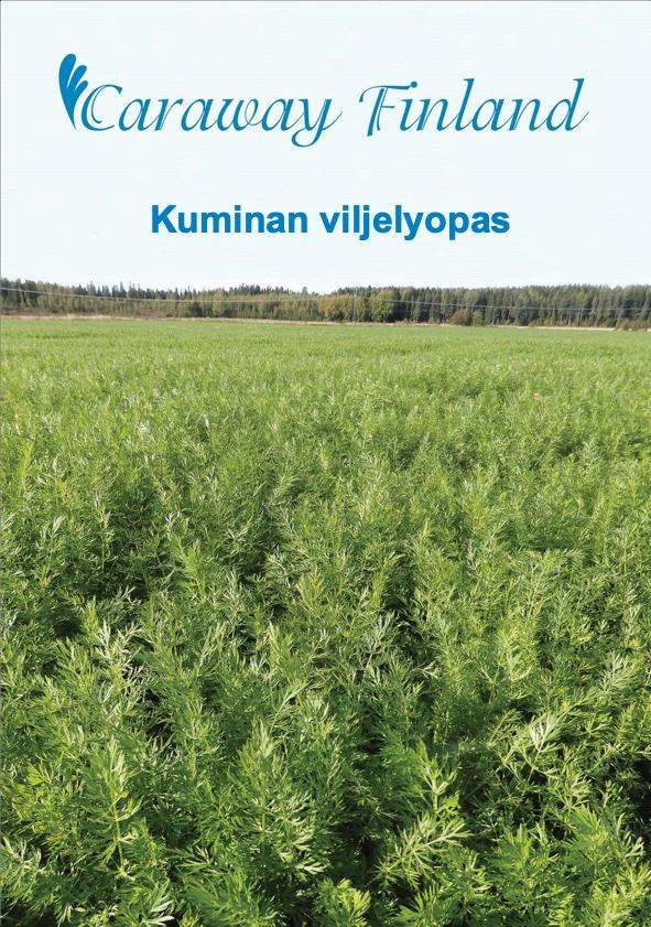 Kuminan viljelyopas