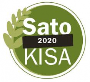 Satokisa